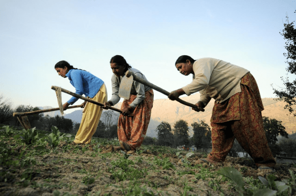 How Gender Inclusive is MNREGA in&nbsp;practice?