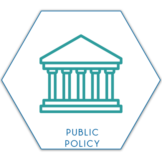 Public Policy