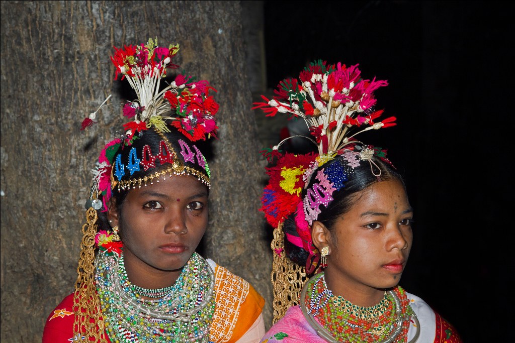 Environmental Degradation and Recovery of the Baiga Tribal&nbsp;Group