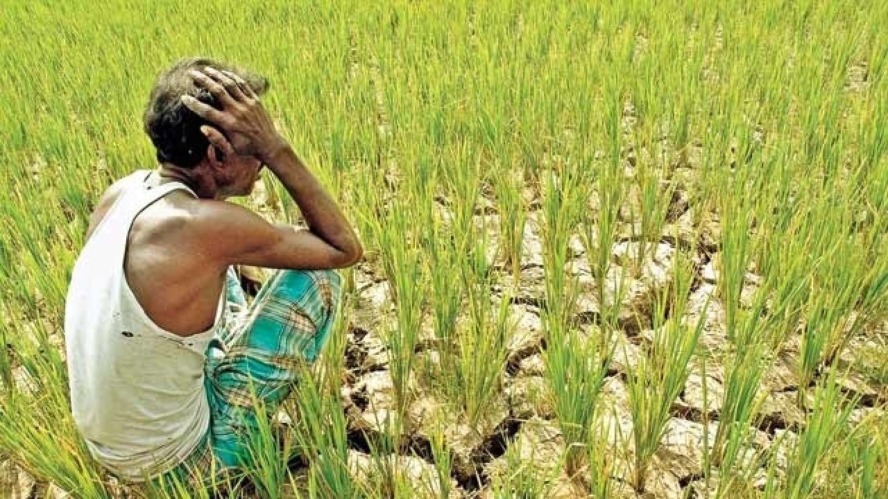 Part I: The Unheard Voices of The Agricultural Sector