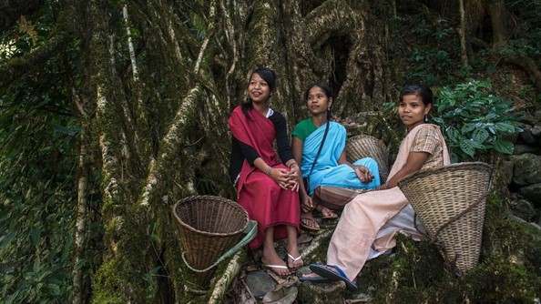 Are North-Eastern matrilineal societies inherently patriarchal?