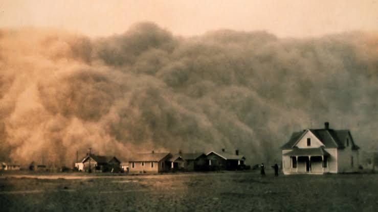 How Conservation Attempts to Erase the Memories of Exclusion: The Past