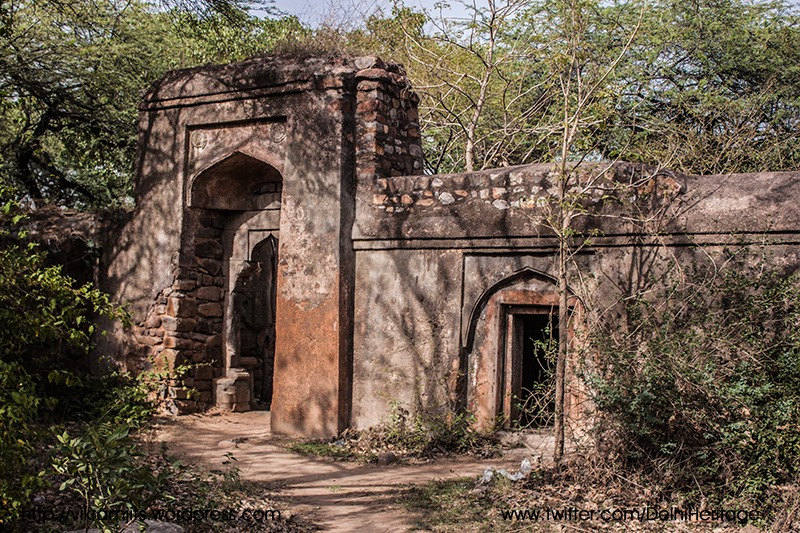 Bhuli Bhatiyari – A Refuge Amidst Chaos 