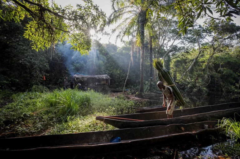 Chaos in the Congo: How Environmental Degradation Fuels Social Instability