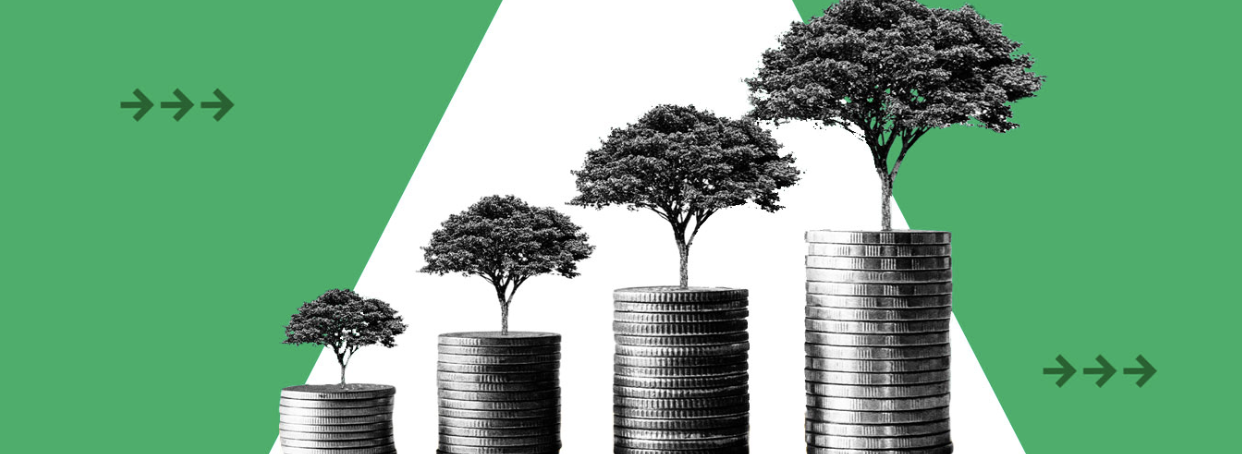 Regulating Greenwashing: A deep dive into the Guidelines on Prevention and Misleading Environmental Claims 2024