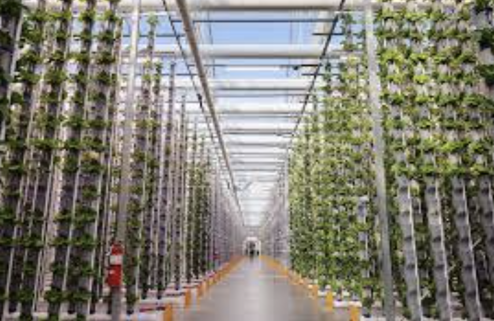 AGRITECH: PRO-LIFE OR&nbsp;PRO-PROFITS?