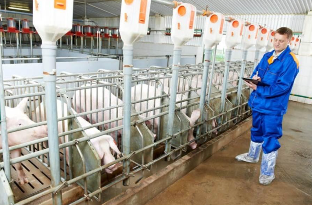 When Pork becomes Geopolitics: Chinese Tariffs and the Chances for Retaliation on&nbsp;Trade