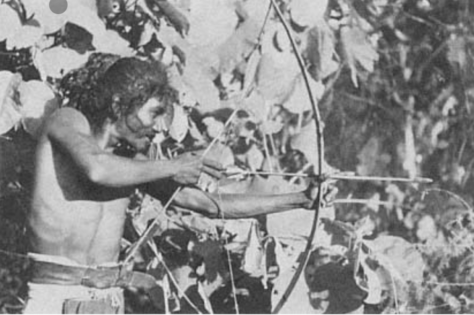 The Unmasking of an Unbalanced Reality: How Tribal Literature Reveals A Long-Drawn Oppression