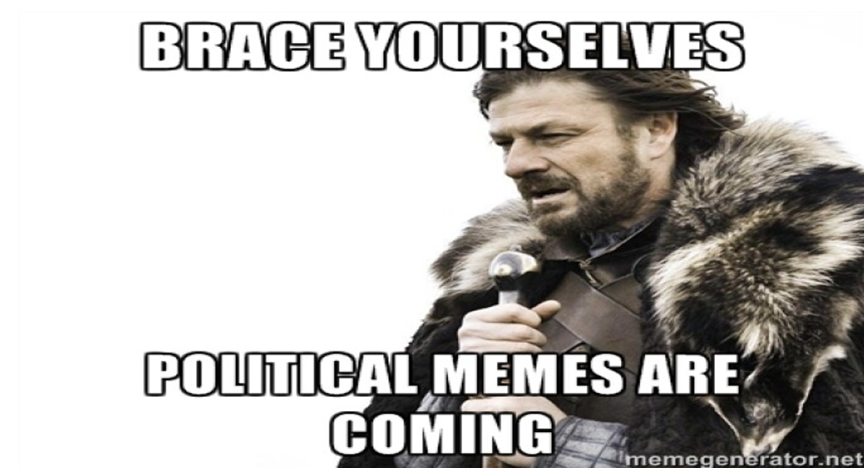 Politics in a World of Memes