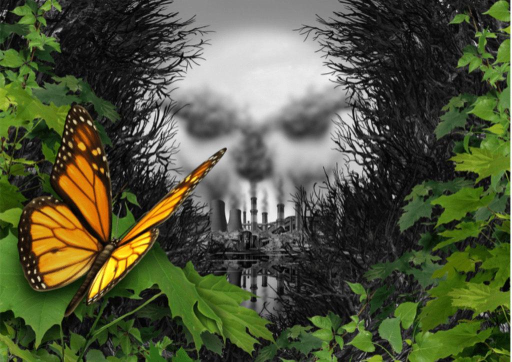 Black Gold, Grey&nbsp;Futures