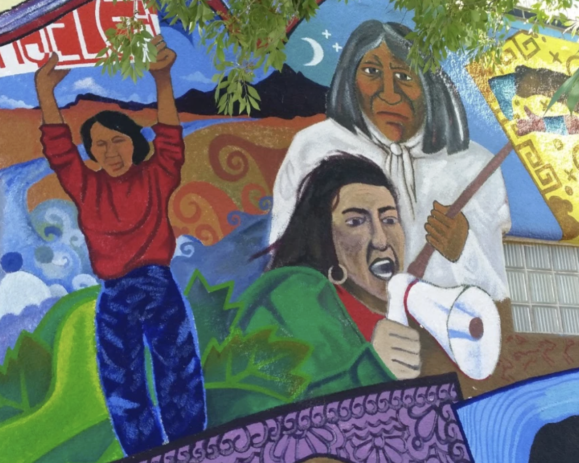 From Environmental Protection to Climate Justice: An Ecofeminist Perspective on Indian Environmental Law