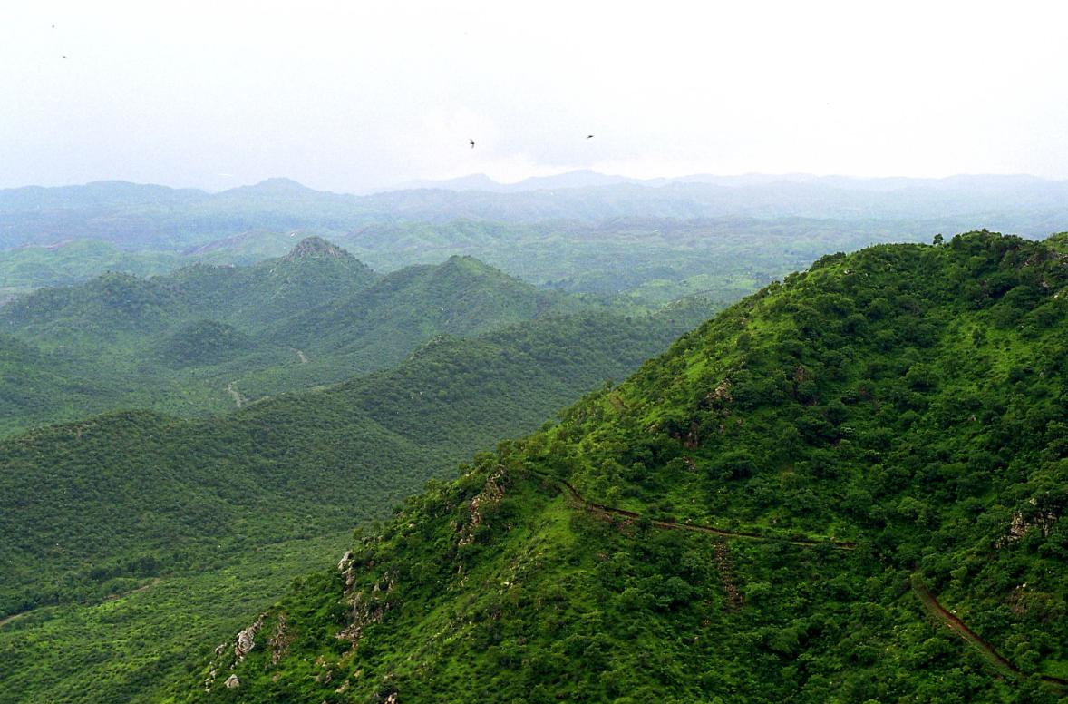 The Aravalli Reclassification: Judicial Reversal, Scientific Deference, and the Precautionary Principle in Indian Environmental Law